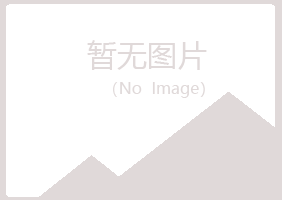 阳山县喧哗采矿有限公司